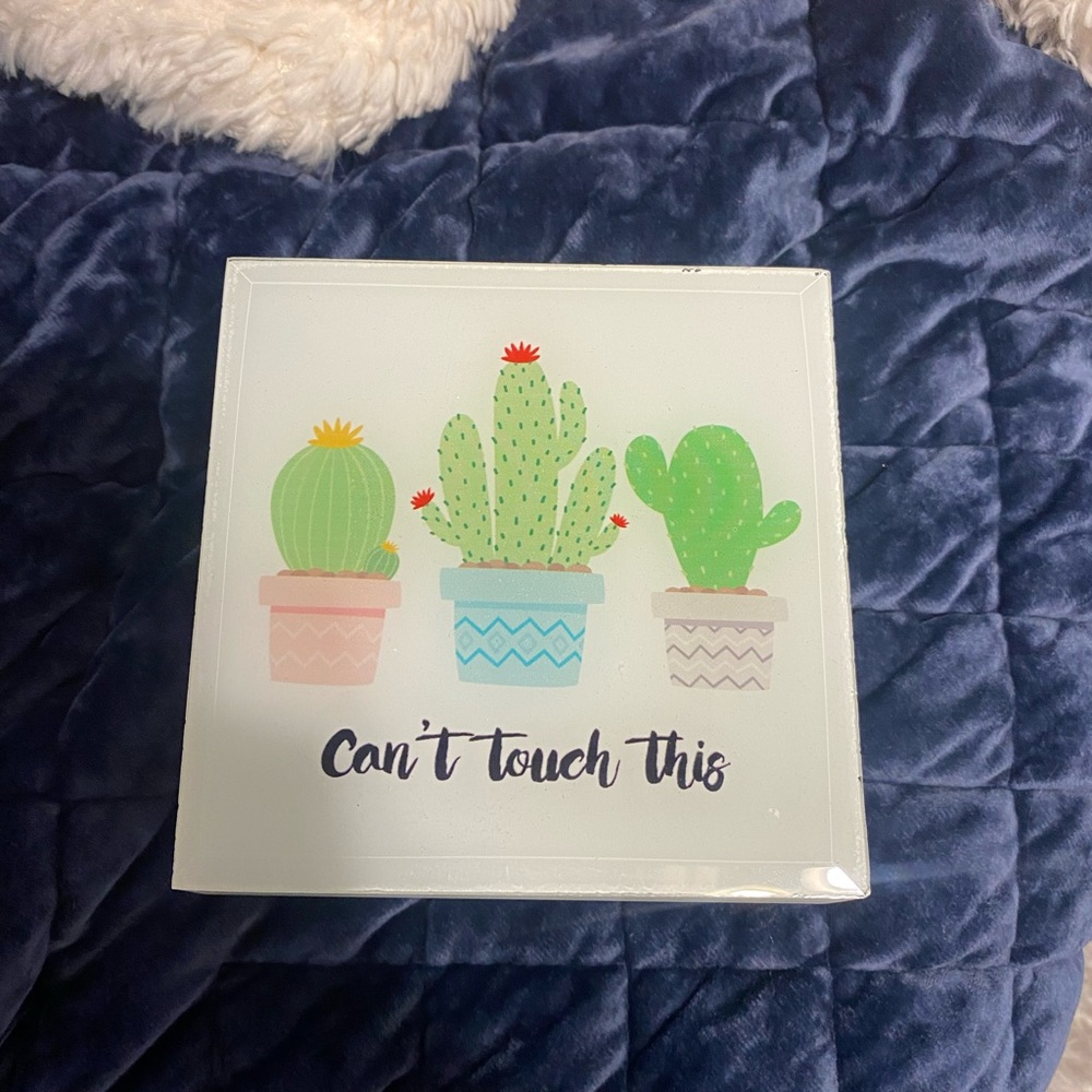 Cant touch this cactus jewelry box